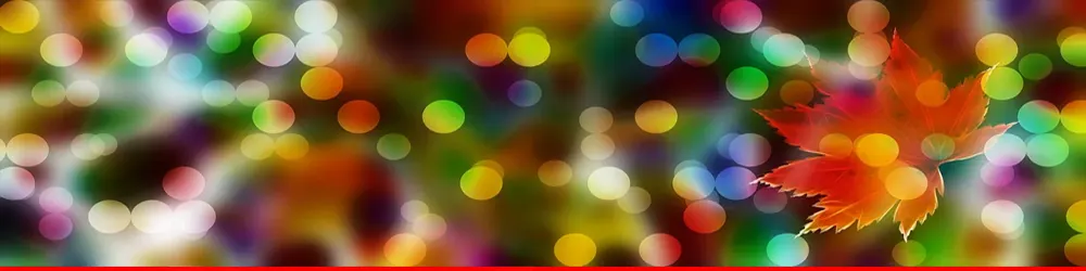 کافی نت پلاس